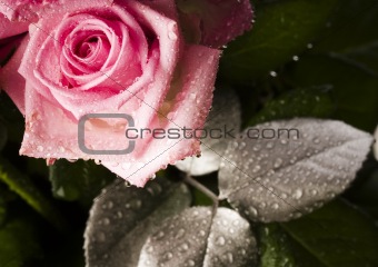 Romantic flowers