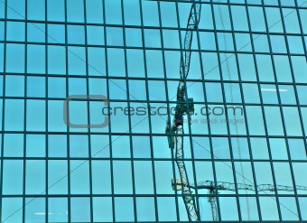 Cranes reflection