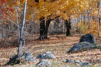 Rest Area in Fall