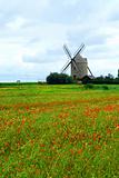 Windmill and poppy field