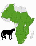 Cheetah distribution Africa