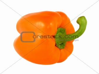 Orange pepper isolated on white background 