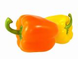 two sweet pepper isolated on white background 