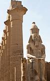 Statue of Ranses II at Luxor Temple