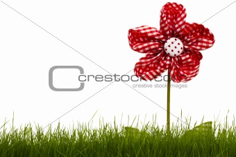 red drapery flower with grass