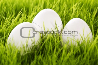three white easter eggs in grass
