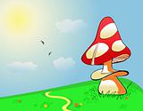 Summer landscape. Mushroom on green field