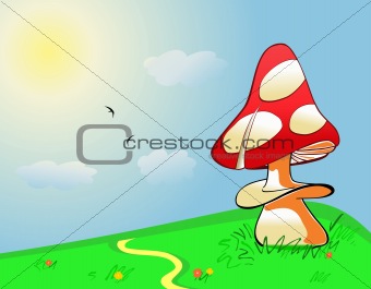 Summer landscape. Mushroom on green field