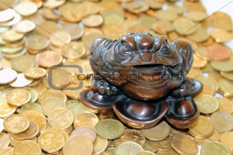 Feng Shui Frog and coins