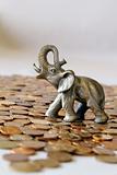 Elephant and coins