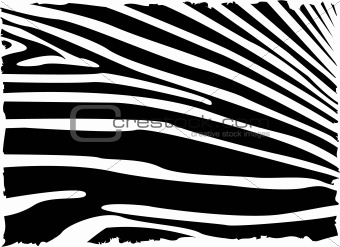 vecror zebra abstract background