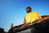 The buddha in Ayutthaya Thailand