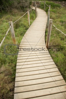 wood footbridge