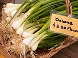 Green Onions At Market