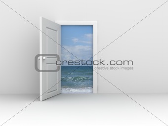 Doors concept