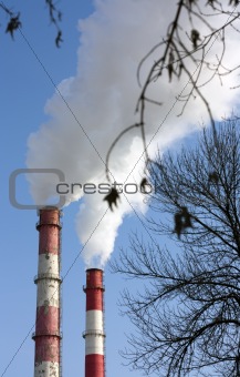 Two smoking towers and branch over blue sky.