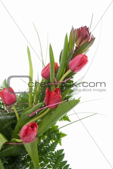 Bouquet of beautiful red tulips