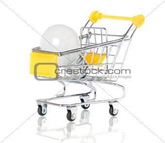 Light bulb  in the shopping cart