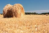 Wheat Haystacks