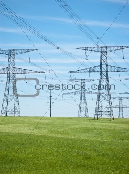 Power Lines with Blue Sky and Green Grass