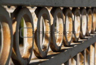 Rusty Fence Rings