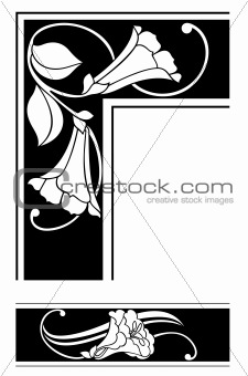 Floral Frame and border. Vector