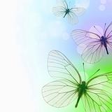 Beautiful  Background With Three Butterflies and bokeh (1 of set