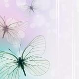 Beautiful Background With Butterflies (1 of set)