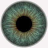 lens of the eye