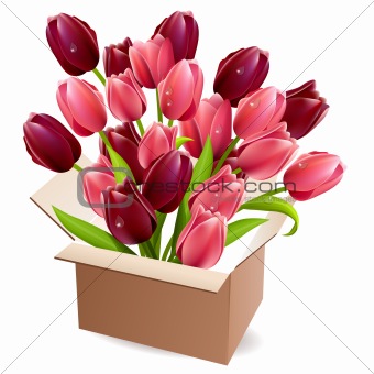 Open box full of tulips