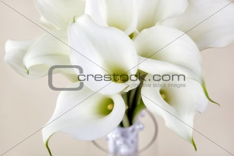 Bridal bouquet of white feces