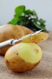 potatoes with a knife to clean the vegetables