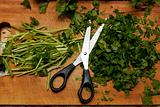Cutted parsley