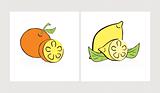 Vector illustration of orange and lemon