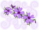 Purple phlox with swirly background 
