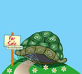 Foreclosed Turtle home