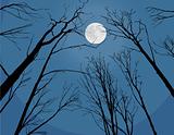 Moonlit Trees