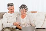 Retired lovers looking at their laptop