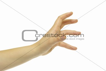 human hand 