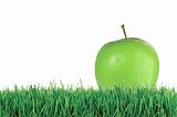 Green apple on green grass over white background