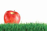 Red apple on green grass over white background