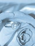 Elegant jewelry ring with brilliants over rose, toning in blue c