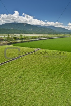Green farm