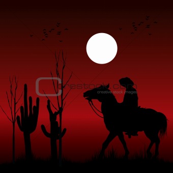 Western Rider Silhouette