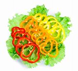 Mix of fresh vegetables from a colored paprika on leaves of green salad on a white background