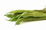 Green bean pods detail