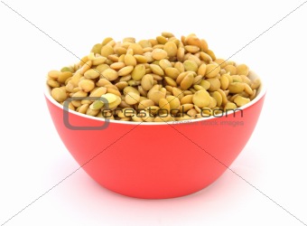 Lentil in red bowl