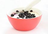 Red bowl with children pap / mush with blueberries