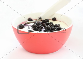 Red bowl with children pap / mush with blueberries