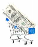 dollar notes in shopping cart